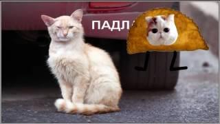 реп про кота беляша!?