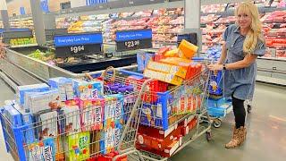 EXTREME EMERGENCY BUDGET GROCERY SHOPPING for 30!