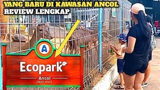 ECOPARK ANCOL || YANG BARU DI KAWASAN ANCOL || ASYIK BANGET BUAT JOGGING