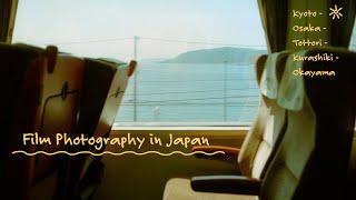 Relaxing film photography in Japan.