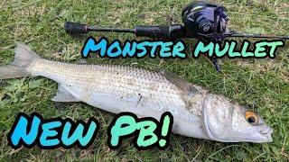 Monster BFS Mullet NEW PB Merri River Fishing - Acehawk AG Venom/Black Knight 2 BFS