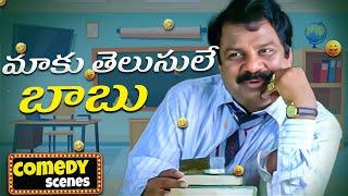 Dharmavarapu Subramanyam Non Stop Comedy Scenes || Best Comedy Scenes Ever || Telugu Comedy Club