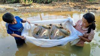 Skills catch fish, 2 orphans pulling fishing nets - Harvest big carp to sell, Boy orphaned parents