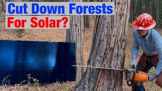 Cutting Down Trees to Put Up Solar Panels