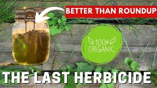 CHEAP Homemade Herbicide That Works. For ONLY $0.50 per gallon. WARNING ️ This Will Kill Everything
