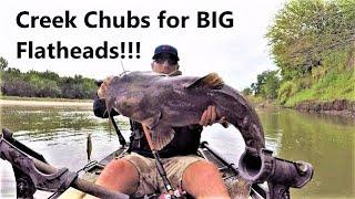 The Best Time to use Creek Chubs for BIG Flatheads