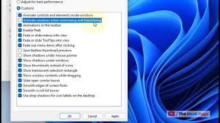 Disable Minimize And Maximize Windows animation in Windows 11