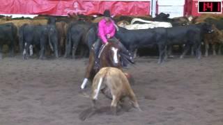 2017 Calgary Stampede Cutting Horse Competition Non Pro Champion