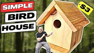 Build a Cedar Bird House for Just $3! 