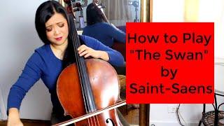 How To Play The Swan by Saint-Saens (Bow Control, Continuous Vibrato, & Shifting Tips)