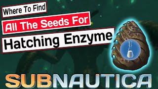 Where To Find All The Seeds For The Hatching Enzyme - SUBNAUTICA GUIDE