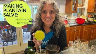 From Weed to Wellness: How to make Plantain Salve Step by Step