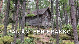 Päijänteen erakko - Koreakoivun saari