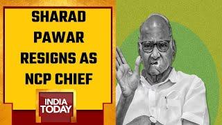 Watch: NCP Chief Sharad Pawar Resigns Ahead Of Lok Sabha Elections 2024