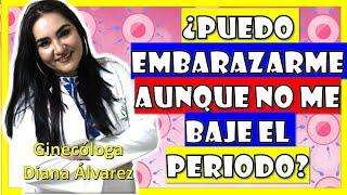 SI NO ME BAJA EL PERIODO ¿ME PUEDO EMBARAZAR? por GINECOLOGA DIANA ALVAREZ