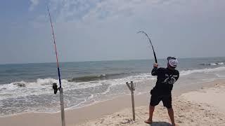 Drone Shark fishing - Bull shark from beach