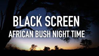 Soothing African Bush Night,  Bush sounds for Sleeping, Insomnia, Studying Relaxing, Black Screen