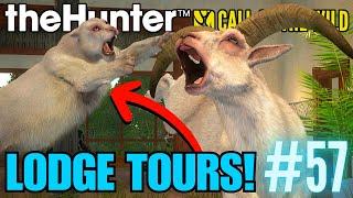 Our First Time EVER Seeing This INSANE RARE!! Sundarpatan Trophy Lodge Tours! | Call of the Wild