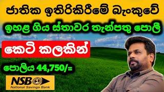 ජාතික ඉතිරිකිරීමේ බැංකුවේ පොලිය NSB Bank Fixed Deposit Rates | fd rates in sri lanka 2024