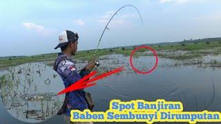 Spotnya Casting Gabus Paling Mantap