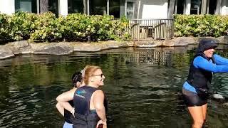 Dolphin Quest Swim with Hua at the Kahala Hotel & Resort on December 15, 2022 12/15/2022