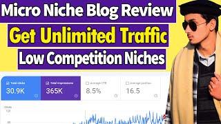 Micro Niche Website Case Study | Get Free Organic Traffic | Find Low Competition Niches