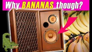 Recapping A Pioneer CS-33A Speaker. A Totally Bananas Repair Project That Anyone Can Do!