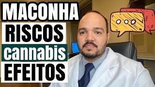 MACONHA: 5 RISCOS do USO RECREATIVO