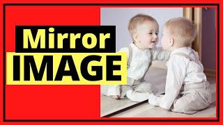 How to Mirror Image - Google Docs