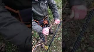 Pruning 101 - how to wrap a grape vine