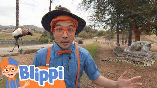 San Diego Zoo Part 1 | Blippi | Moonbug Kids - Cartoons & Toys