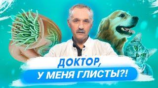 Глисты. Кто входит в группу риска? Как избавиться от глистов? / Доктор Виктор