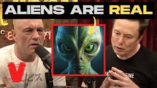 Joe Rogan Pushes Elon Musk On UFOs & Aliens