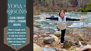 8 min / Clear Chronic Stress + Fatigue / Tiger  Qigong