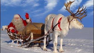 Santa Claus for kids  Best reindeer rides of Father Christmas in Lapland Finland for children