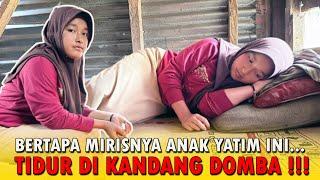 MIRIS‼️GADIS YATIM CANTIK DI TINGGAL AYAH NGURUS DOMBA ORANG DEMI LANJUTIN SEKOLAH