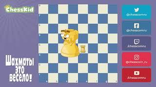  Шахматы для детей на ChessKid - Ладья  Как научиться играть в шахматы