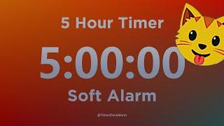 5 Hour Timer (with Soft Alarm Sound) for Sleep and Relaxation