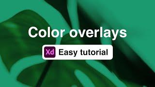 Intro to blending modes and color overlays | Adobe XD tutorial