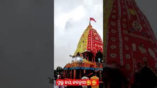 ଜୟ ଜଗନ୍ନାଥ  #ytshorts #rathayatra #jagannath