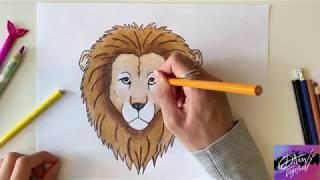 HOW TO DRAW A LION FACE - STEP BY STEP - EASY