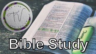 Vine Bible study 21