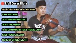 Album Instrumen Sholawat | Sholawat Nabi Merdu | Cover Biola