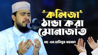 কলিজা ঠান্ডা করা মুনাজাত। Mawlana M Hasibur Rahman