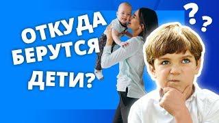 ОТКУДА БЕРУТСЯ ДЕТИ? КАК РАССКАЗАТЬ РЕБЕНКУ ПРО СЕКС? ПОЛОВОЕ ВОСПИТАНИЕ ДЕТЕЙ 3-5 ЛЕТ. ч.2