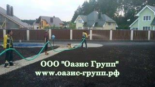 Озеленение и благоустройство ООО "Оазис Групп"