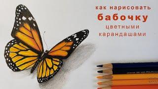 как нарисовать бабочку how to draw a butterfly как нарисовать бабочку цветными карандашами