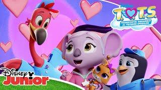 Cântece pentru micii zburători | T.O.T.S. | Disney Junior România