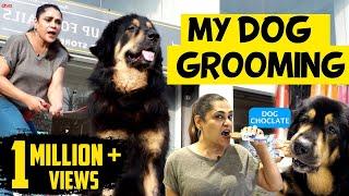 My Dog Grooming | Fun Vlog with Uma Riyaz