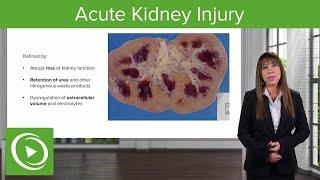 Acute Kidney Injury (AKI): Staging and Etiology – Nephrology  | Lecturio